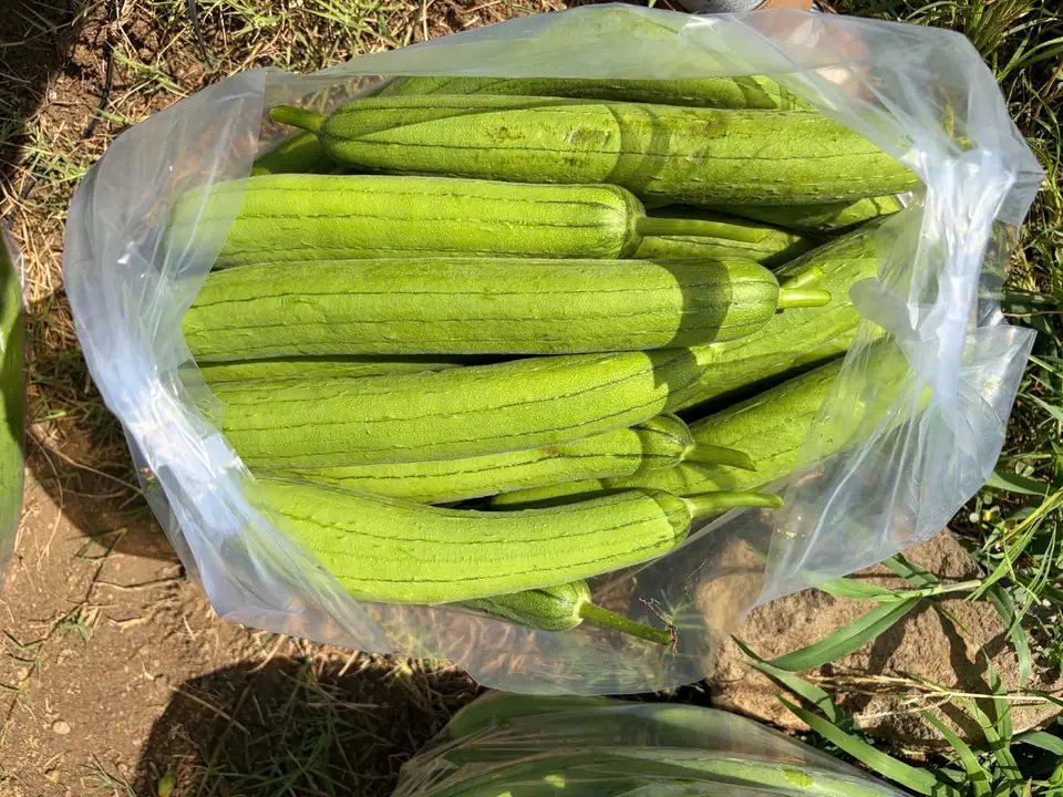 Ảnh thực tế Vườn Anh Thắng