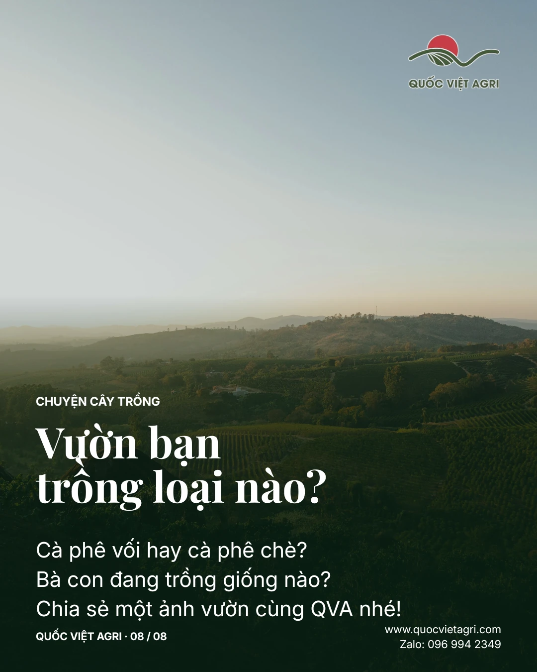 Vườn bạn trồng loại nào? Cà phê vối hay cà phê chè? Bà con đang trồng giống nào? Chia sẻ một ảnh vườn cùng QVA nhé!
