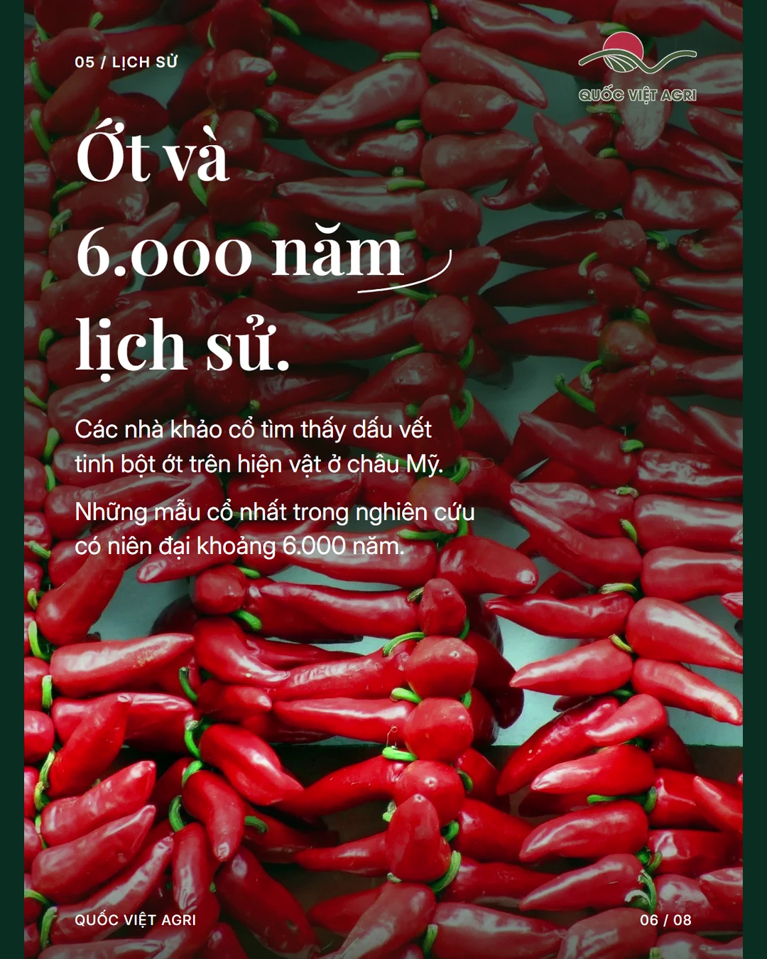 Ớt và 6.000 năm lịch sử.