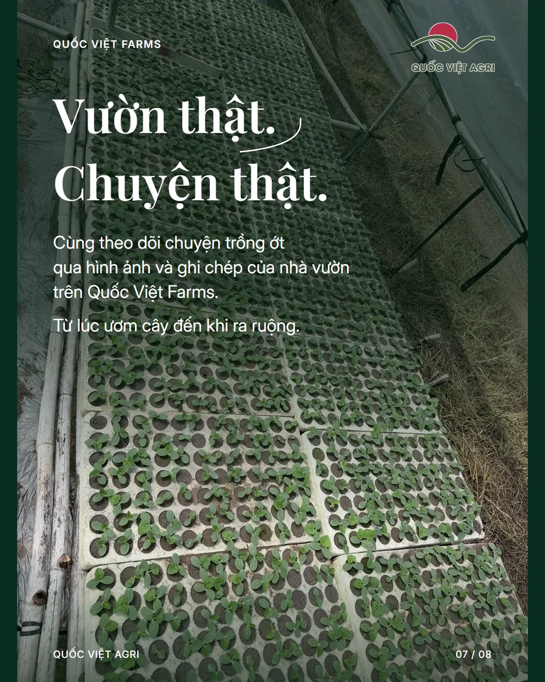 Vườn thật. Chuyện thật.