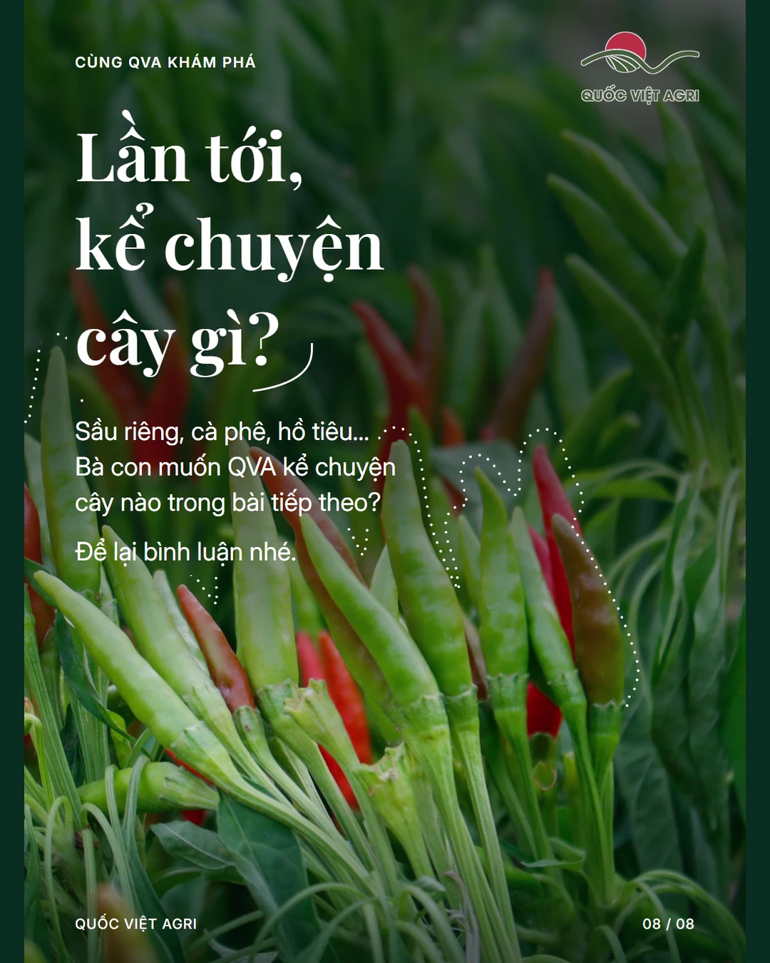 Lần tới, kể chuyện cây gì?
